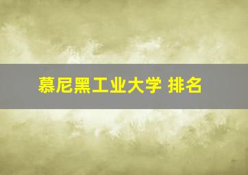 慕尼黑工业大学 排名